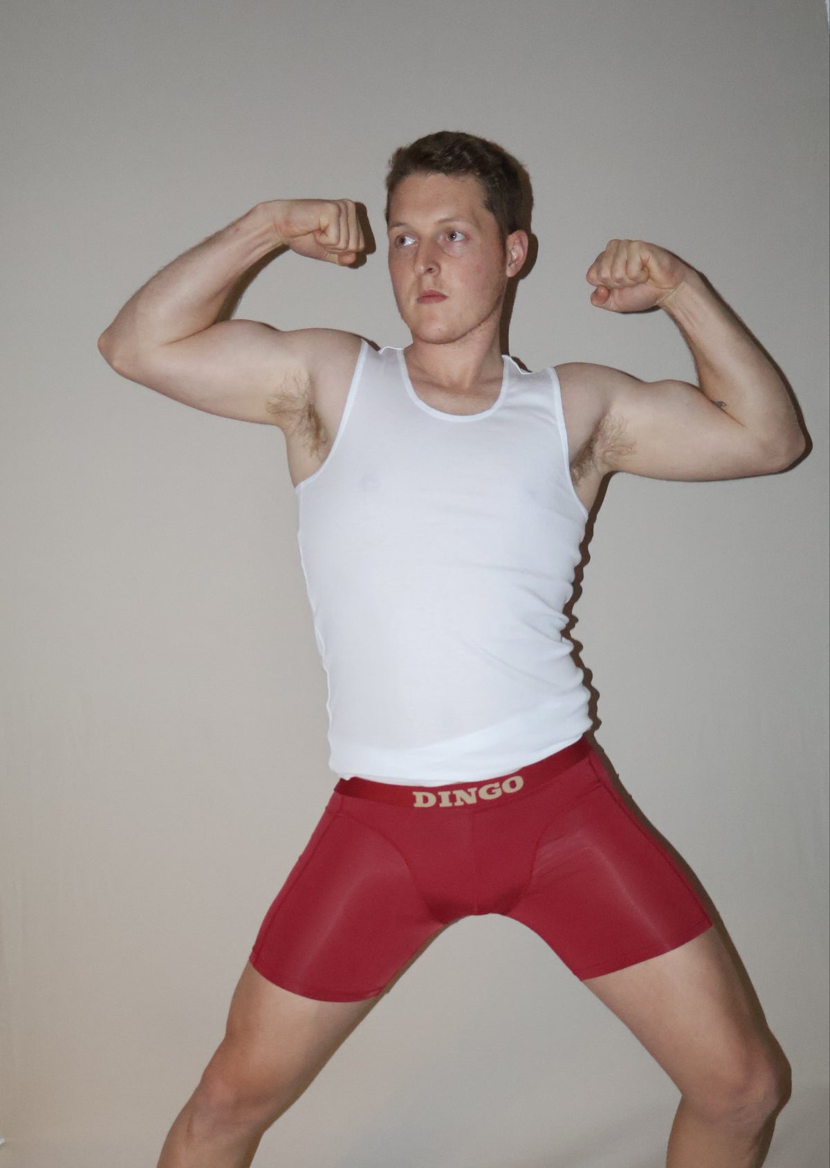 DINGO Wine Compression Brief