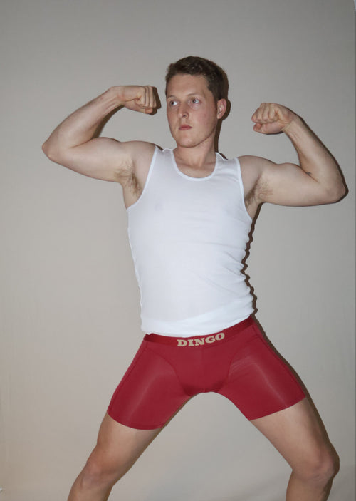 DINGO Compression Brief 3 Pack